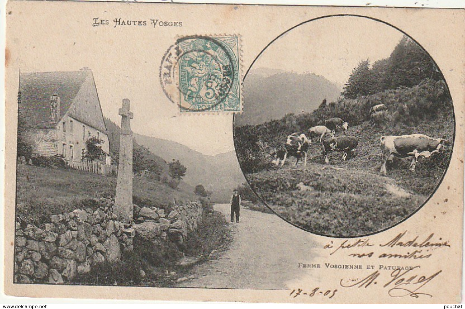 LE 17 -(88) FERME VOSGIENNE ET PATURAGE - PAYSAN ET TROUPEAU DE VACHES - 2 SCANS - Farms