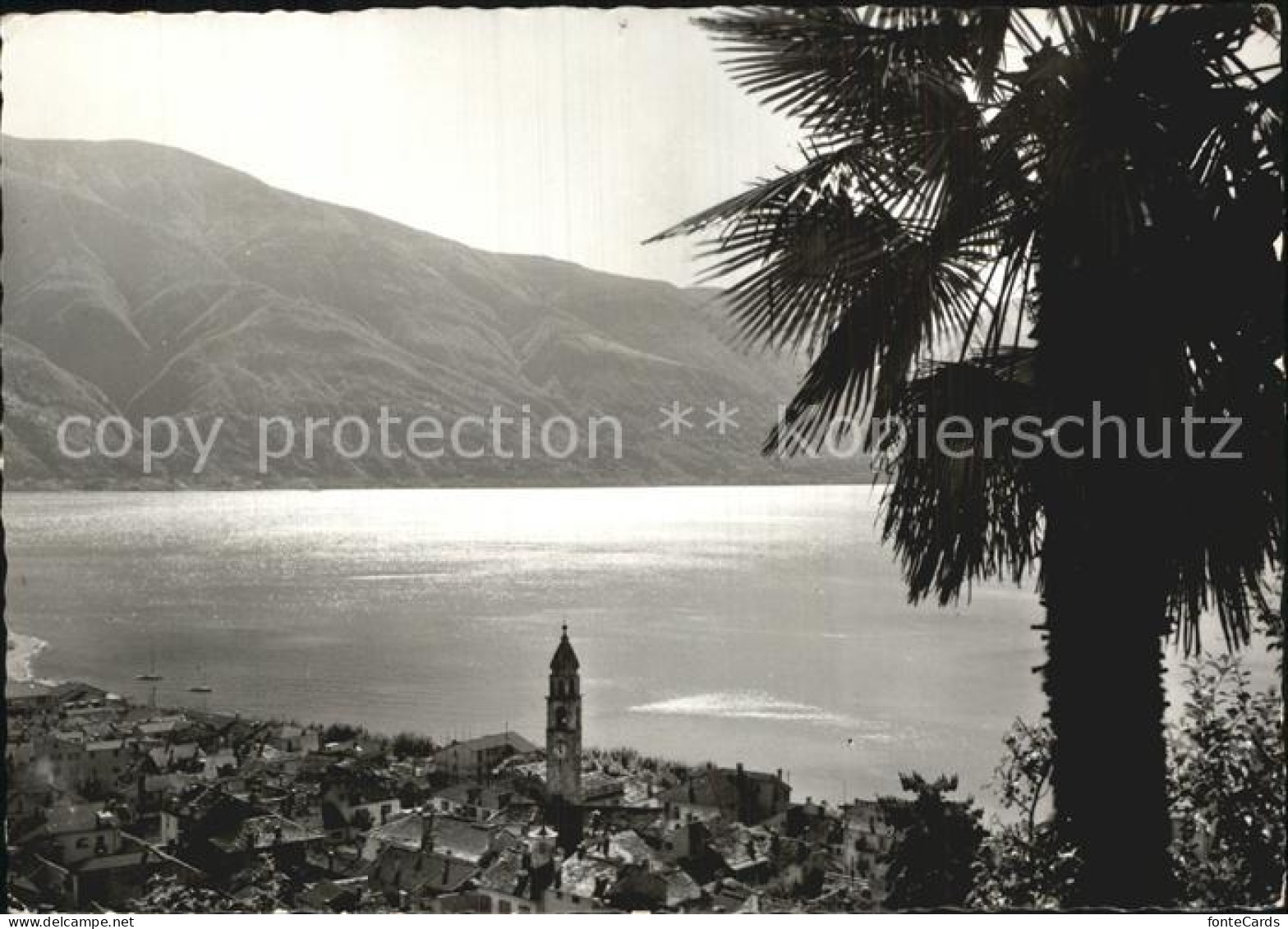 12596334 Ascona Lago Maggiore Panorama Ascona - Andere & Zonder Classificatie