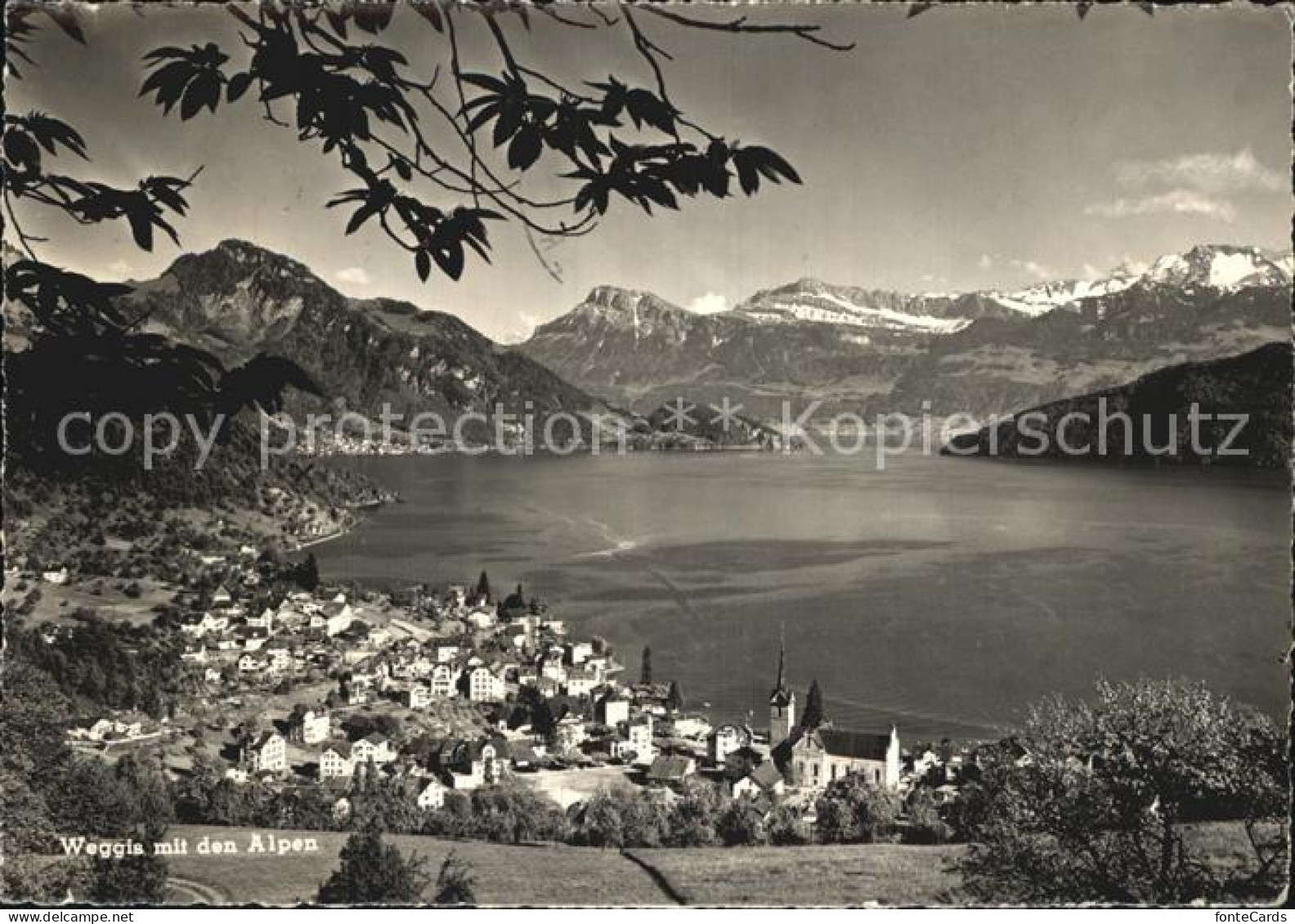 12596308 Weggis Vierwaldstaettersee Mit Alpenpanorama Weggis - Autres & Non Classés