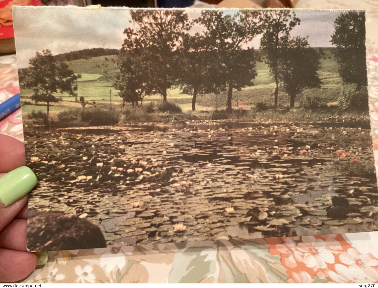 REGION AUVERGNE - ETANG DE BASTIDE / COL DE LA REPUBLIQUE / CARTE SOUPLE BISCOTTE PELLETIER - Autres & Non Classés