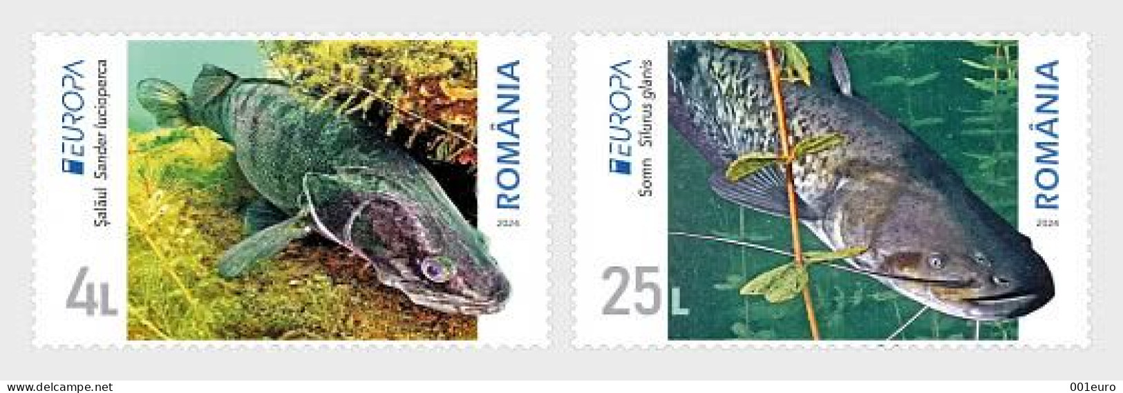 ROMANIA 2024: EUROPA - FISH 2 Unused Stamps - Registered Shipping! - Nuovi