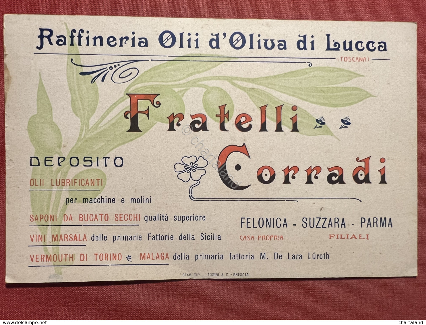 Cartolina Pubblicitaria Fratelli Corradi - Raffineria Olio D'Oliva Di Lucca 1915 - Advertising