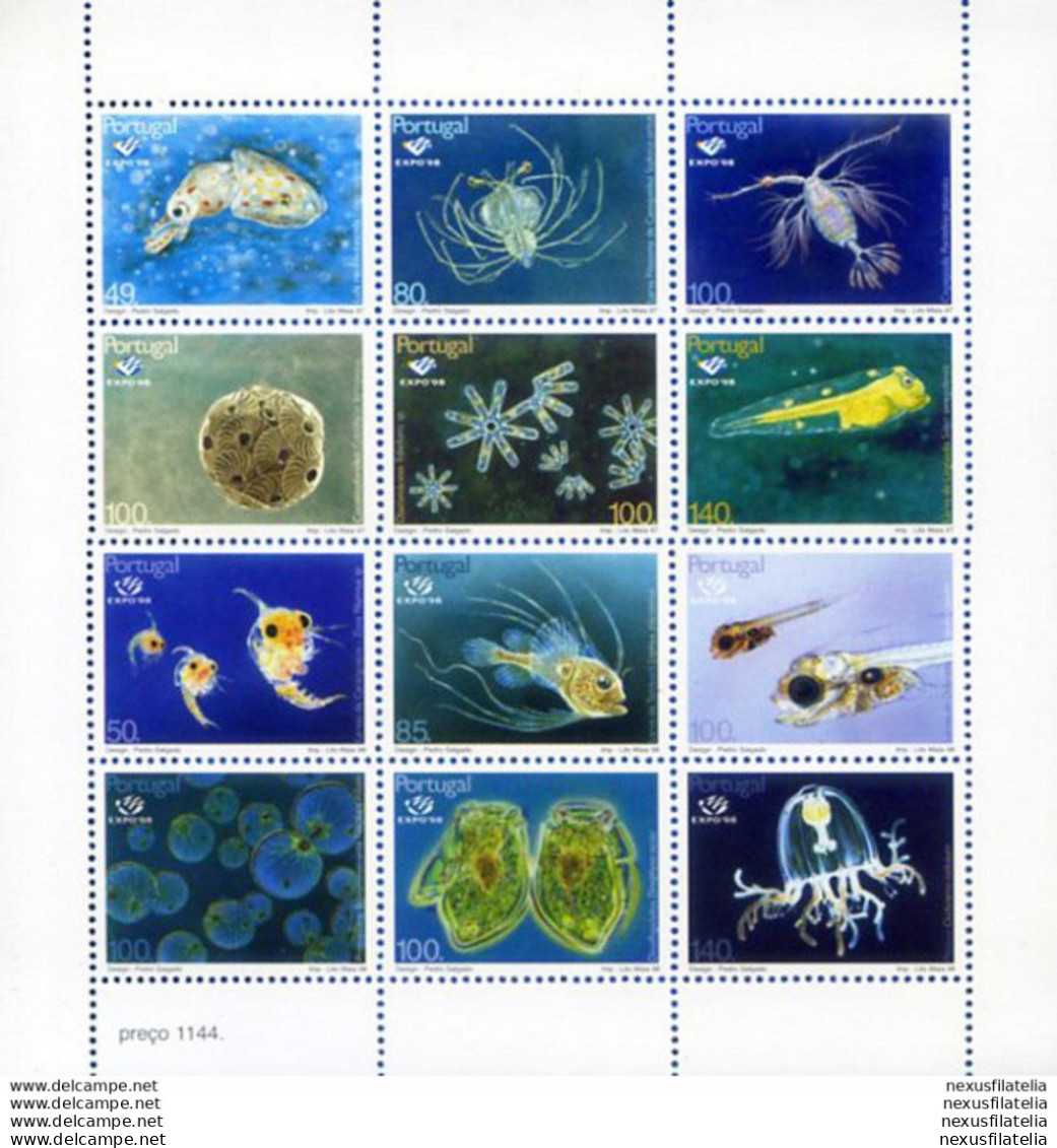 Fauna Marina 1998. - Andere & Zonder Classificatie