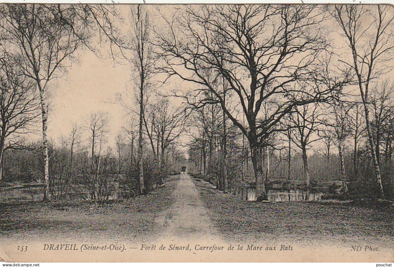 LE 26 -(91) DRAVEIL - FORET DE SENARD , CARREFOUR DE LA MARE AUX RATS  - 2 SCANS - Draveil