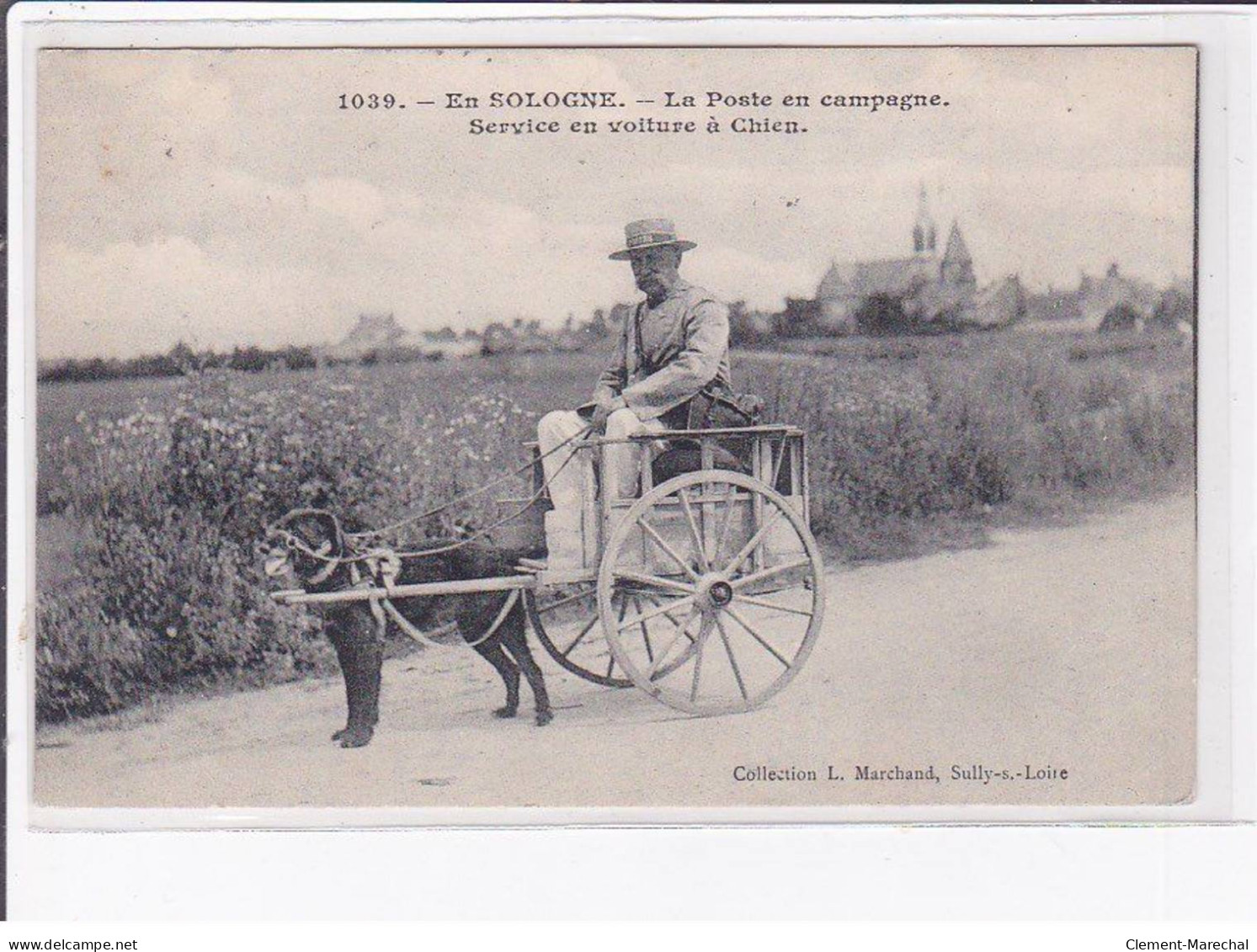 EN SOLOGNE - La Poste En Campagne - Service En Voiture à Chien - Très Bon état - Otros & Sin Clasificación