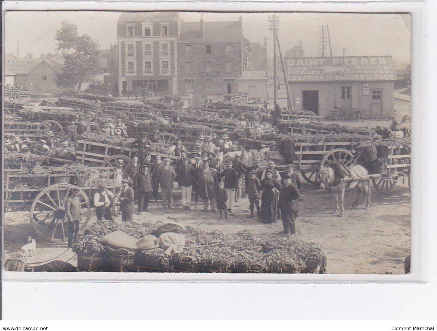 SAINT MALO - Rocabey - Carte - Photo - Marché - état - Saint Malo