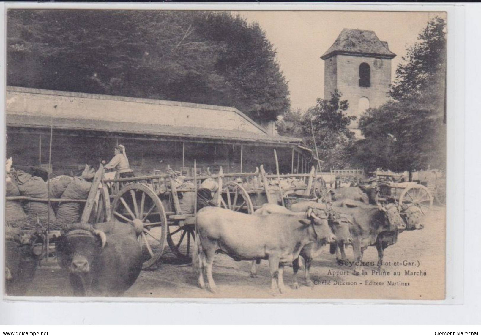 SEYCHES: Apport De La Prune Au Marché, Attelage Boeufs - Très Bon état - Autres & Non Classés