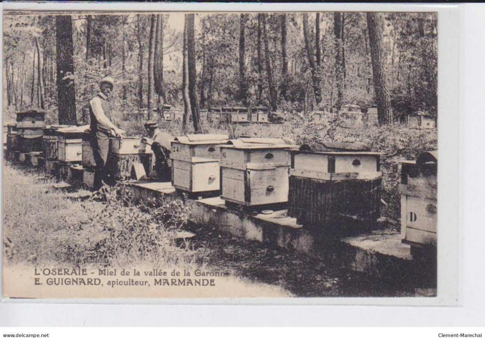 MARMANDE: L'oseraie Miel De La Vallée De La Garonne, E. Guignard Apiculteur - Très Bon état - Marmande