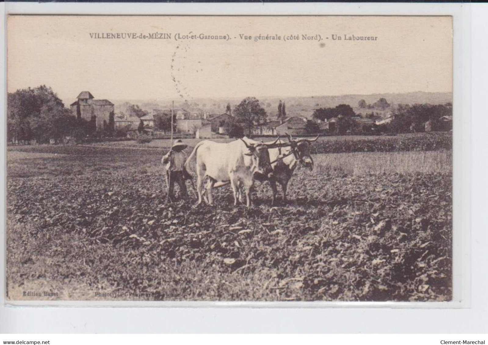 VILLENEUVE-de-MEZIN: Vue Générale (coté Nord) Un Laboureur, Boeufs - Très Bon état - Other & Unclassified