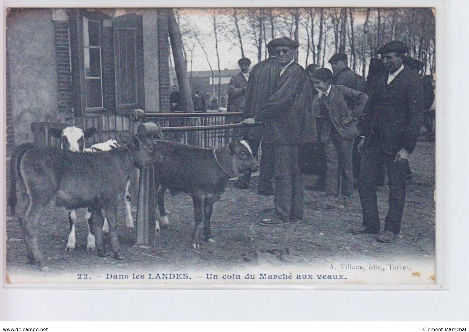 LANDES: Un Coin Du Marché Aux Veaux - Très Bon état - Andere & Zonder Classificatie