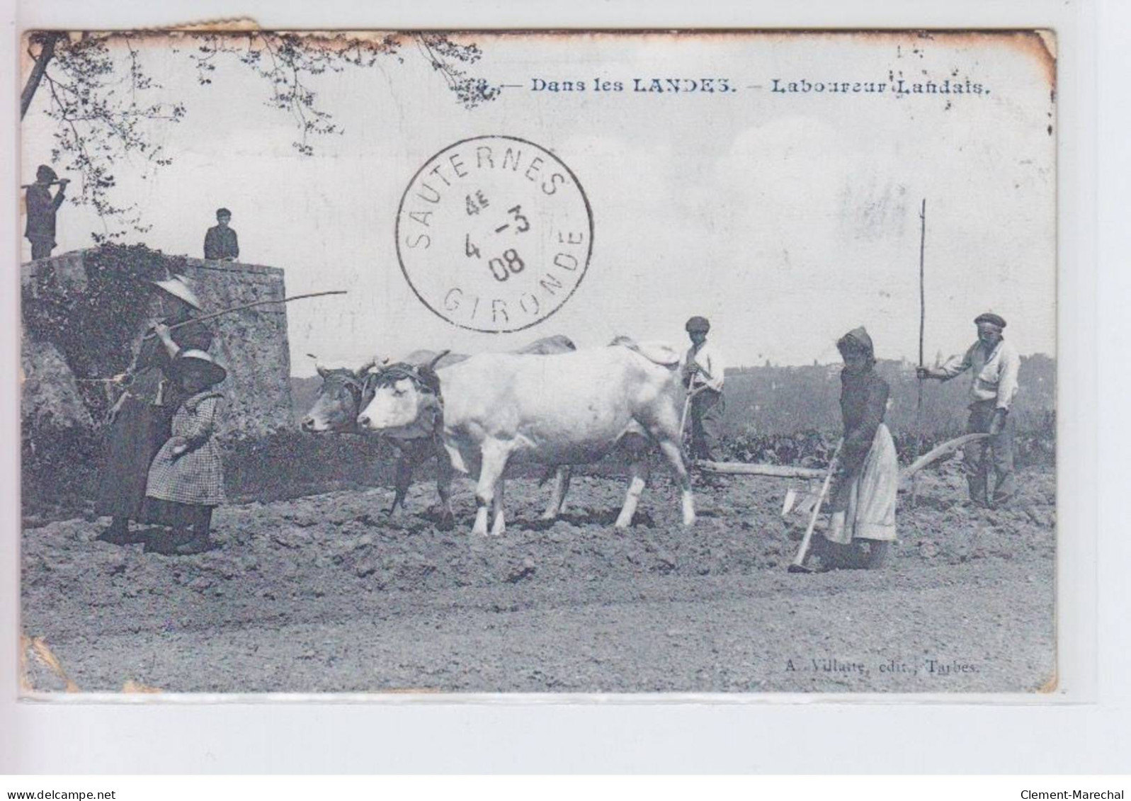 LANDES: Laboureur Landais, Boeufs - état - Other & Unclassified