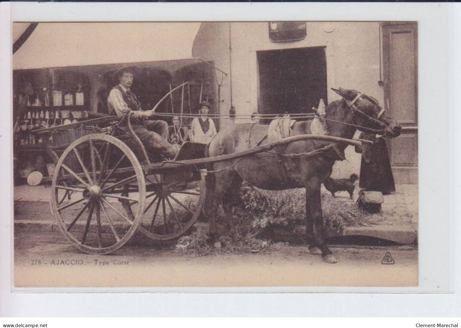 AJACCIO: Type Corse, Attelage, Cheval - Très Bon état - Ajaccio