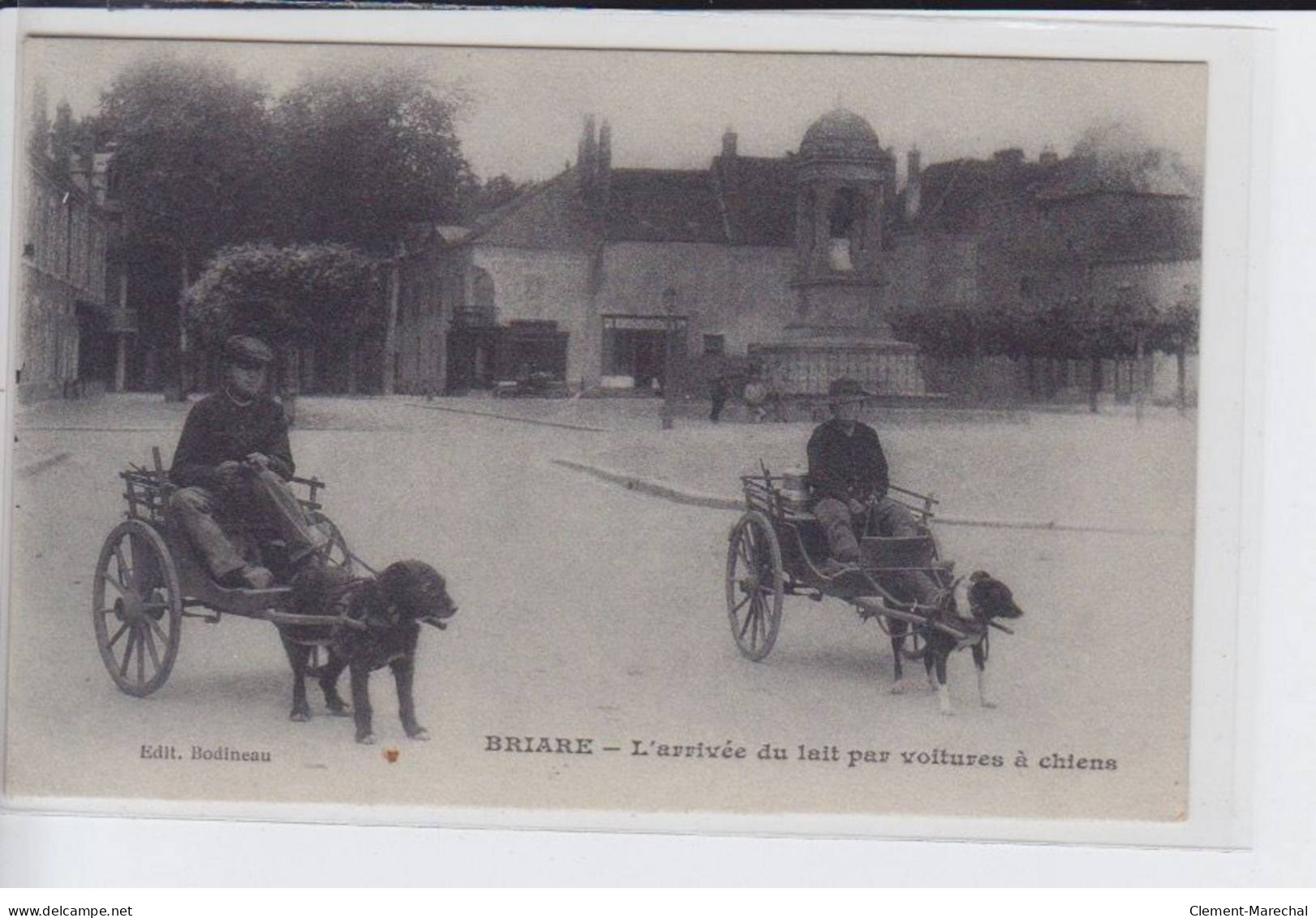 BRIARE: L'arrivée Du Lait Par Voitures à Chiens - Très Bon état - Briare