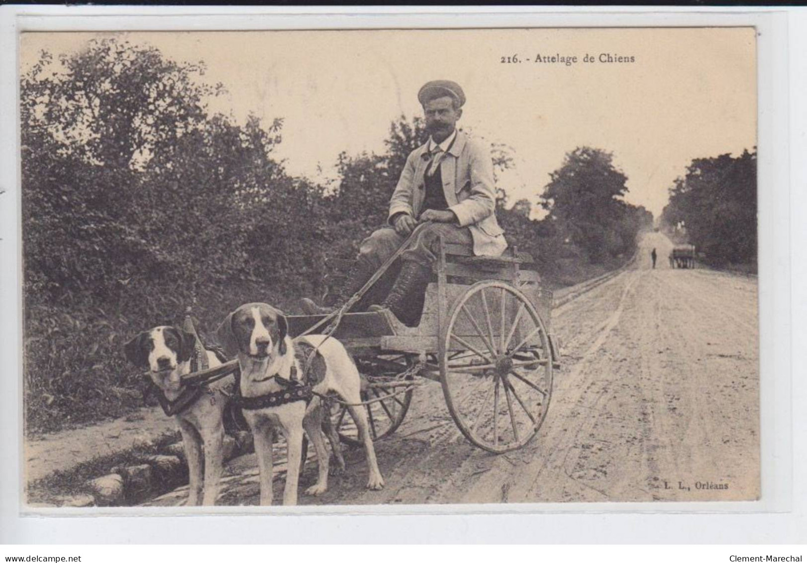 ORLEANS: Attelage De Chiens - Très Bon état - Orleans