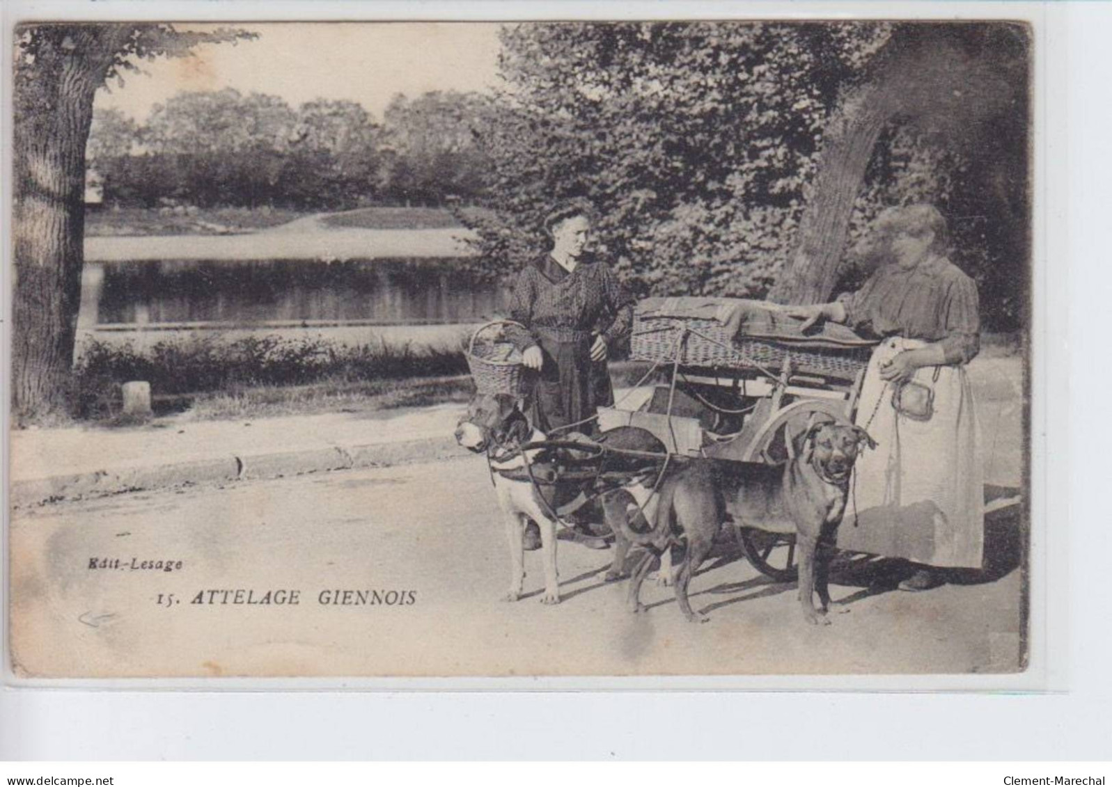 GIEN: Voiture à Chiens, Attelage Giennois - état - Gien