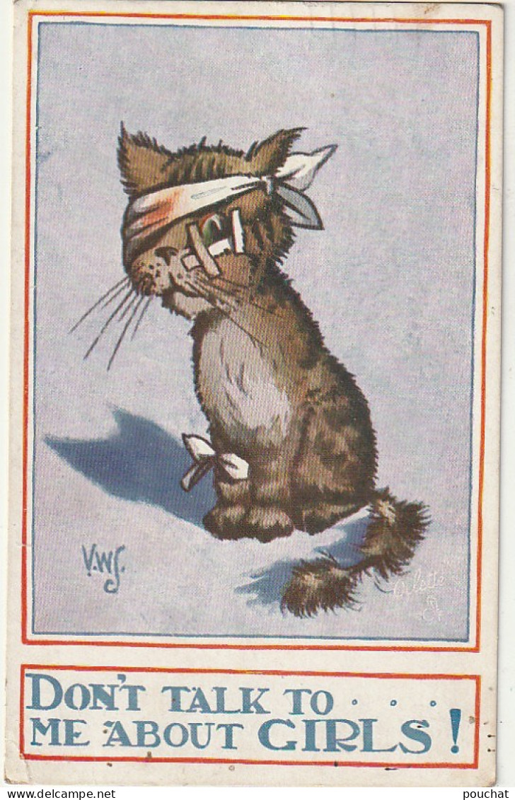 HO Nw (5) " DON' T TALK TO .. ME ABOUT GIRLS "- CHAT EBORGNE , ESTROPIE - ILLUSTRATEUR - 2 SCANS - Gatos