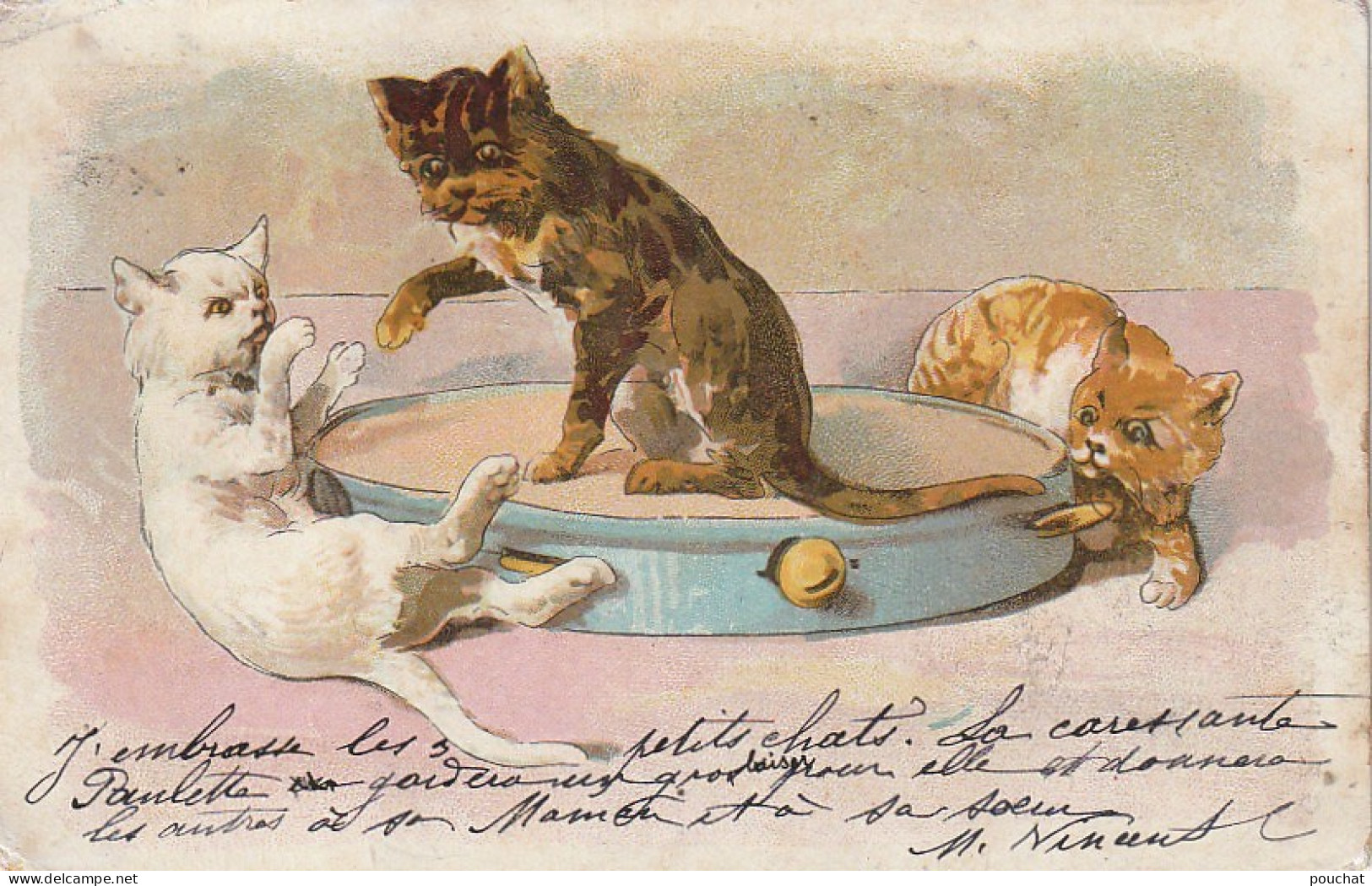 HO Nw (5) TRIO DE CHATONS JOUANT SUR UN TAMBOURIN - ILLUSTRATEUR - 2 SCANS - 1900-1949