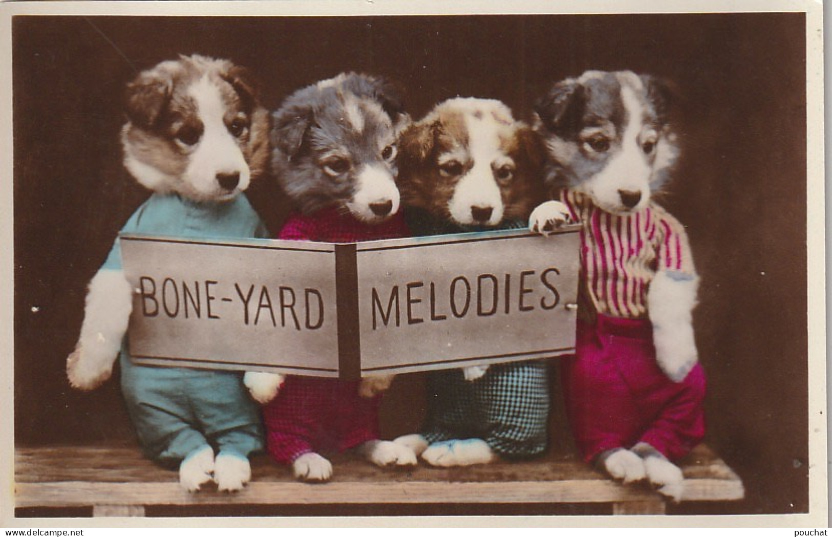 HO Nw (5) BONE YARD MELODIES - CHORALE DE CHIOTS HUMANISES - 2 SCANS - Gekleidete Tiere