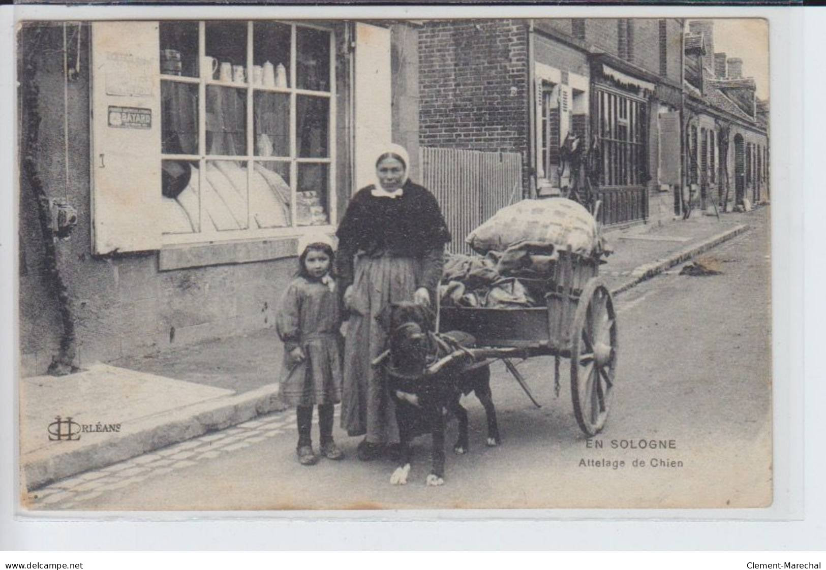 EN SOLOGNE: Attelage De Chien - Très Bon état - Altri & Non Classificati