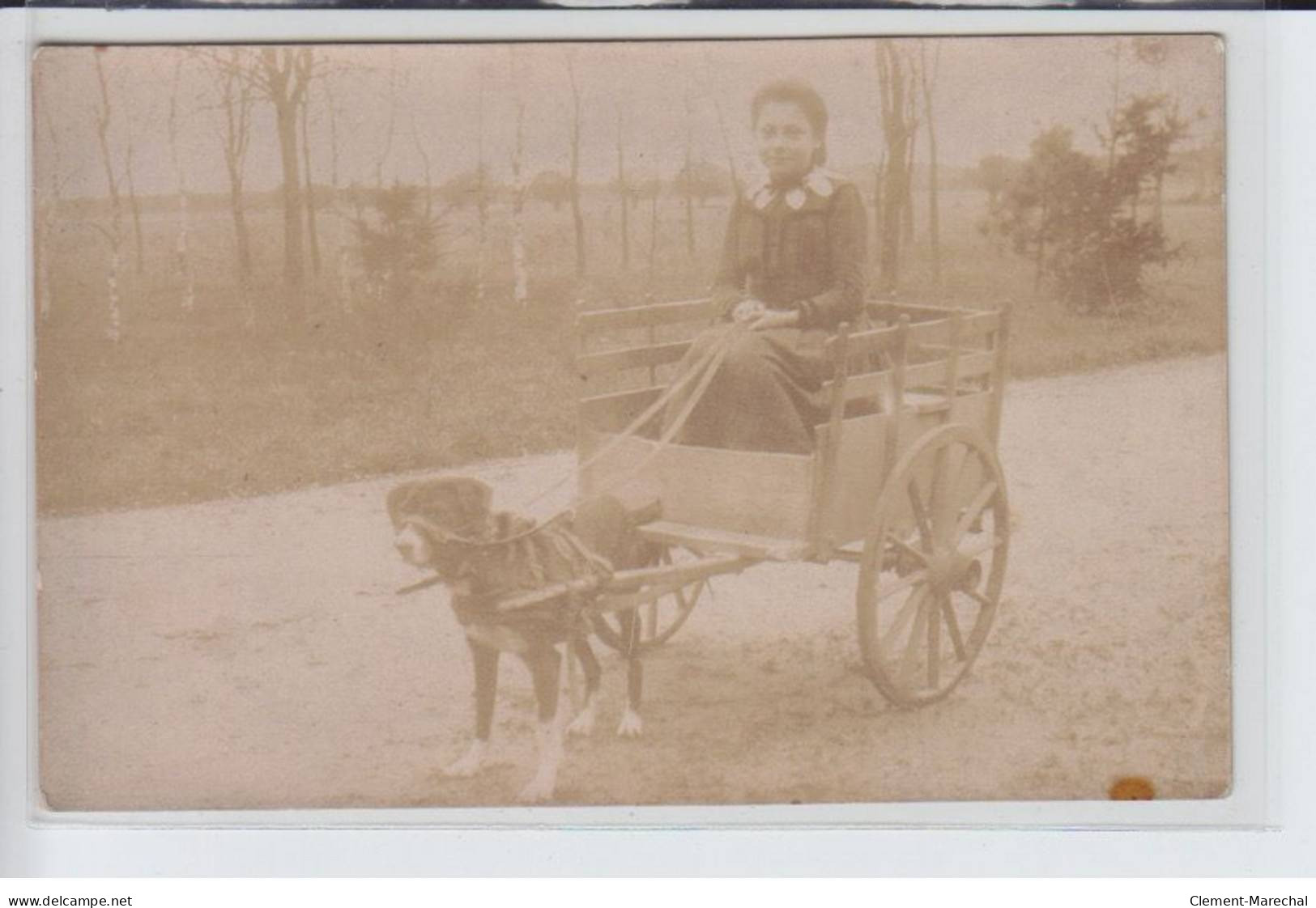 LOIR Et CHER: Voiture à Chien - Très Bon état - Andere & Zonder Classificatie