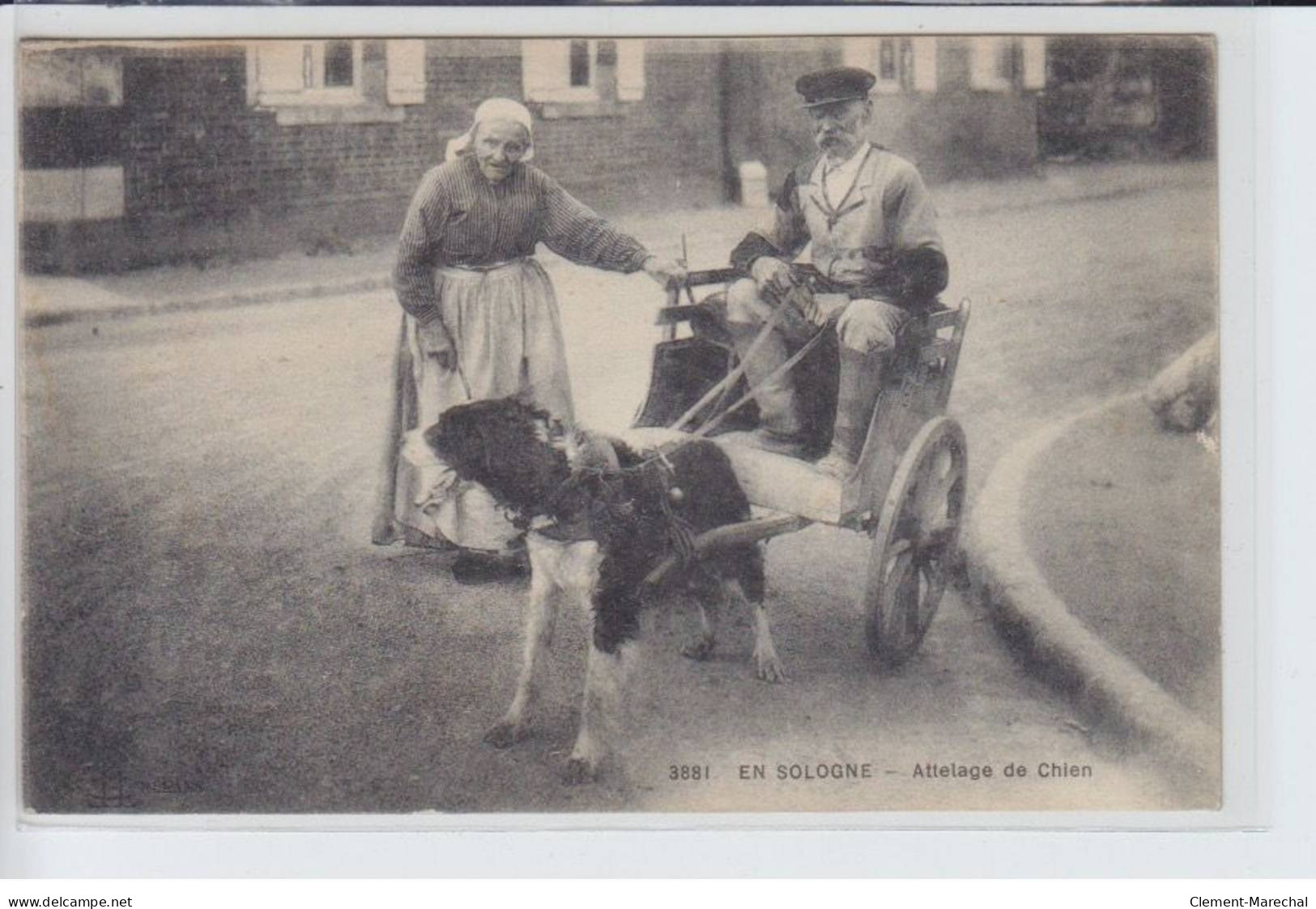 EN SOLOGNE: Attelage De Chien, Voiture à Chien - état - Andere & Zonder Classificatie