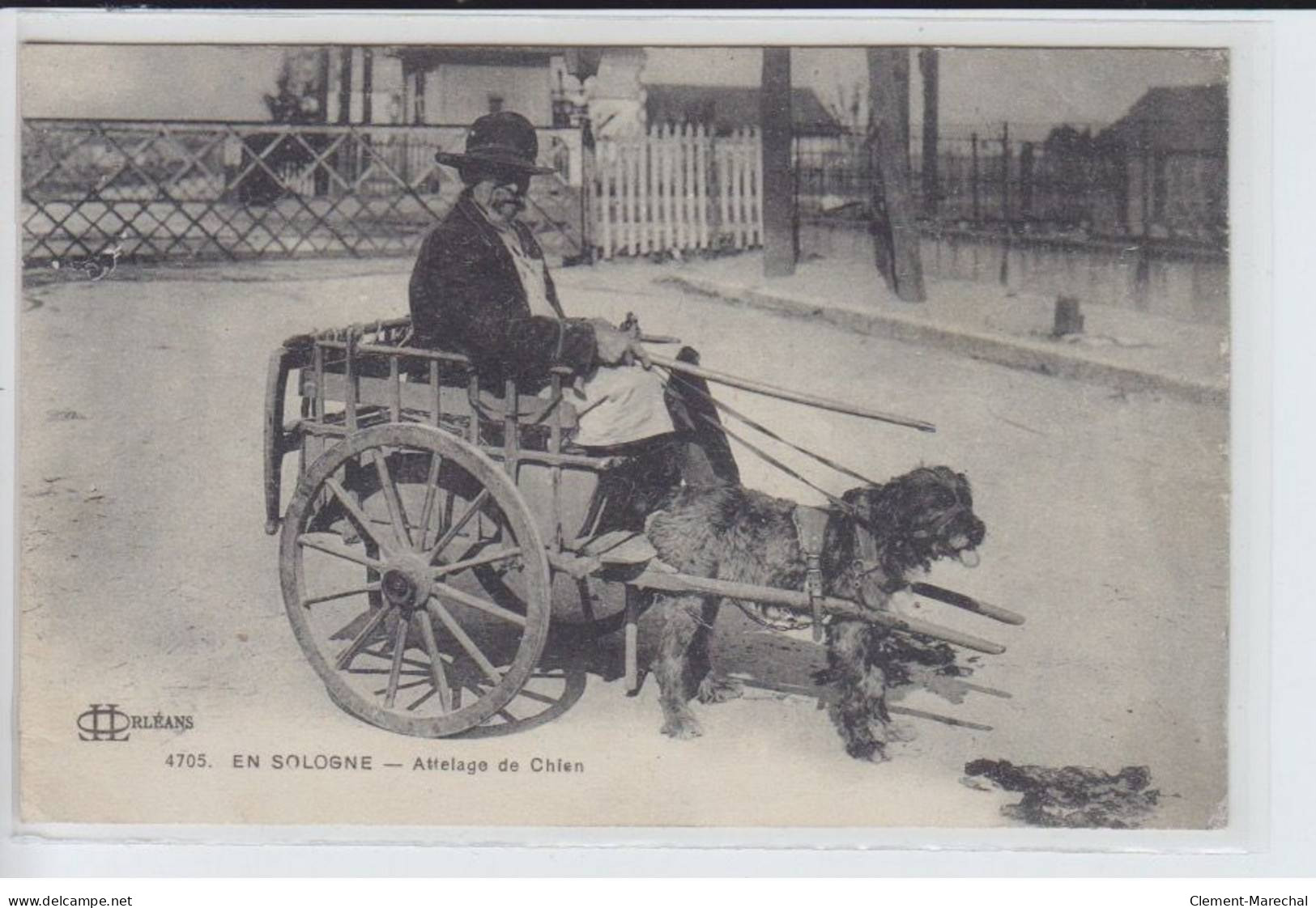 EN SOLOGNE: Attelage De Chien - Très Bon état - Otros & Sin Clasificación