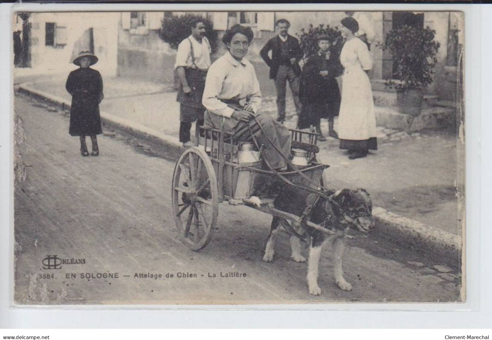 EN SOLOGNE: Attelage De Chien, La Laitière - état - Altri & Non Classificati