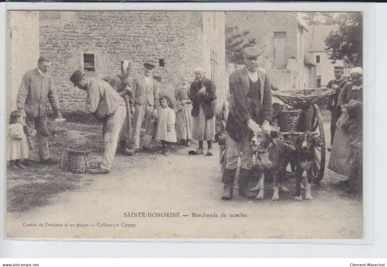 SAINTE-HONORINE: Marchands De Moules, Voiture à Chien - Très Bon état - Autres & Non Classés