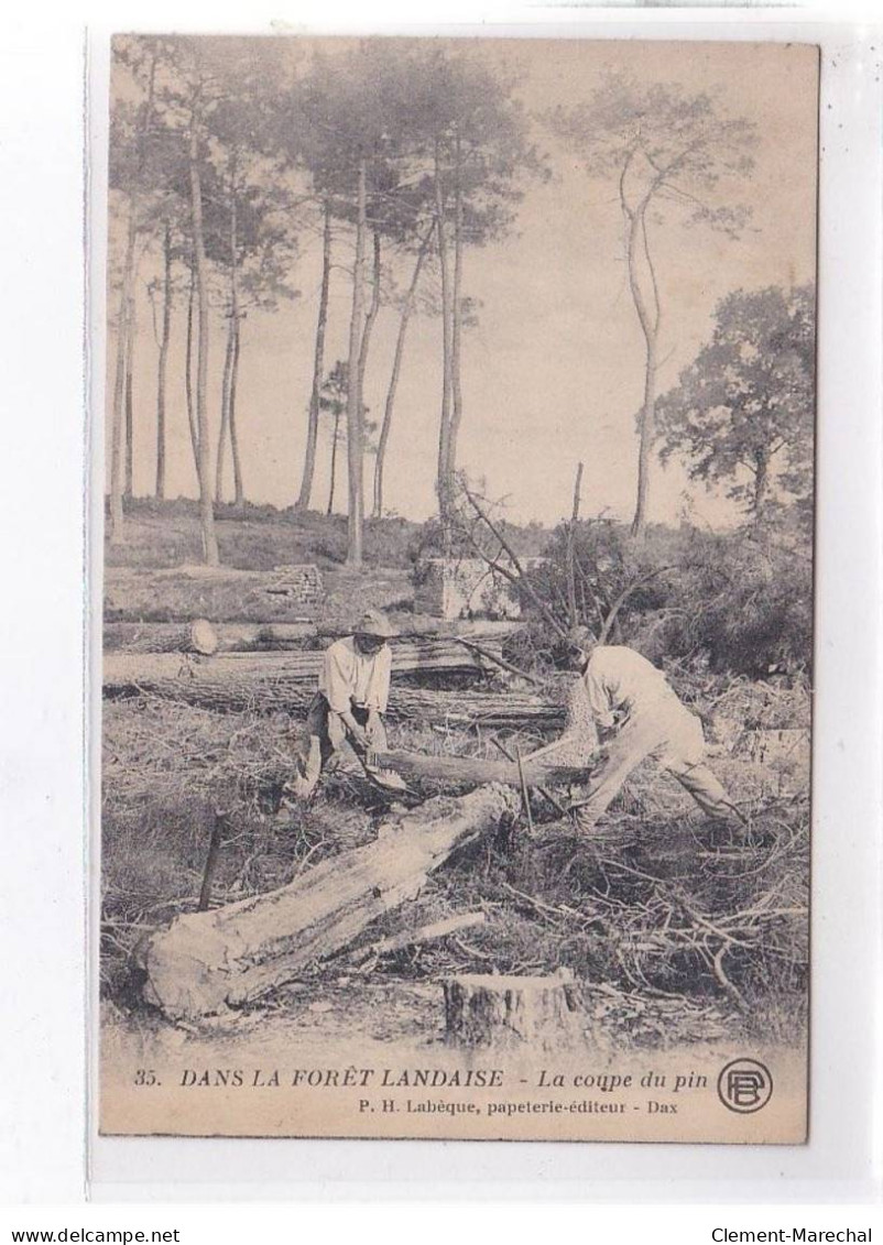 LANDES: Dans La Forêt Landaise, La Coupe Du Pin - Très Bon état - Andere & Zonder Classificatie