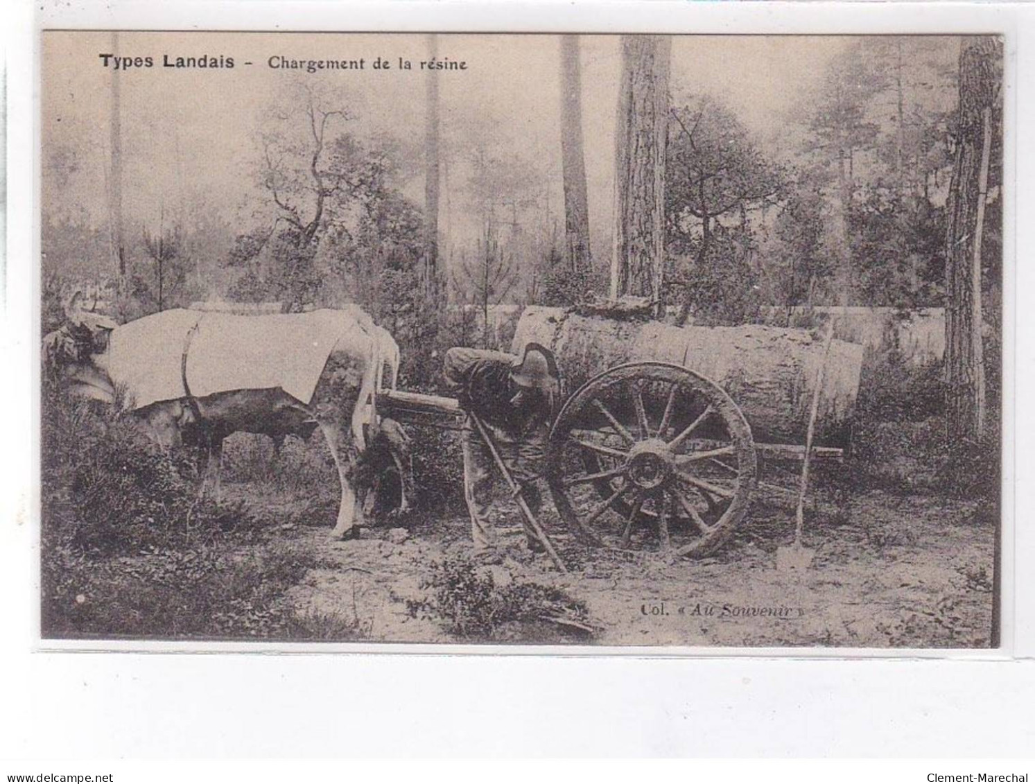 LANDES: Types Landais, Chargement De La Résine - Très Bon état - Sonstige & Ohne Zuordnung