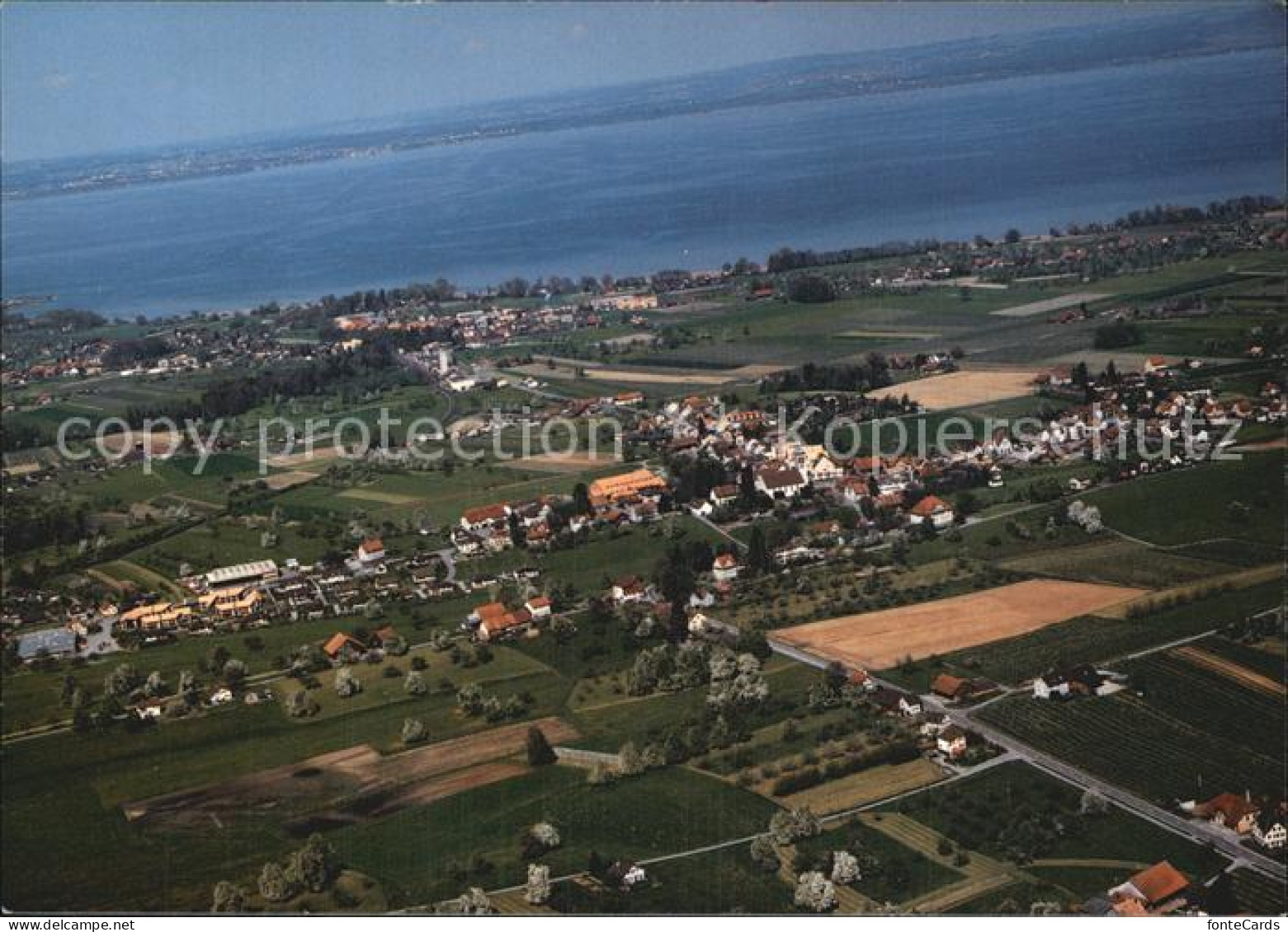 12590911 Egnach Bodensee Neukirch Flugaufnahme Egnach - Autres & Non Classés