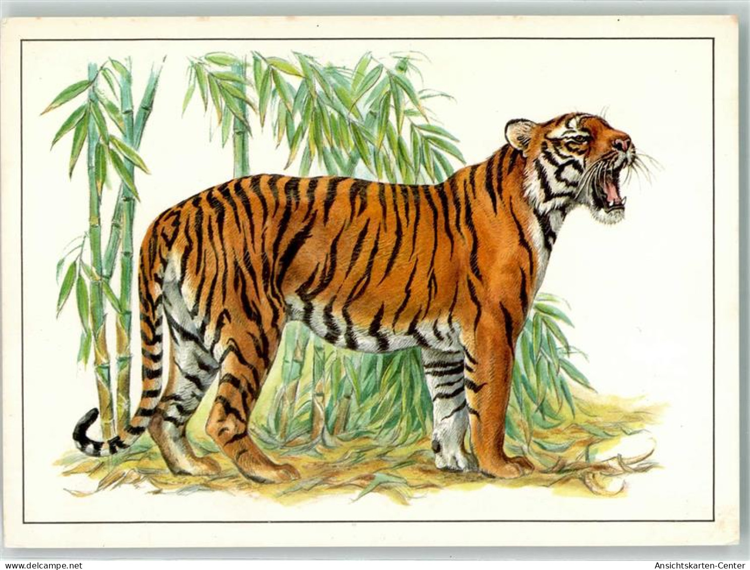 39527006 - Bengaltiger Sign. Reiner Ziger - Andere & Zonder Classificatie