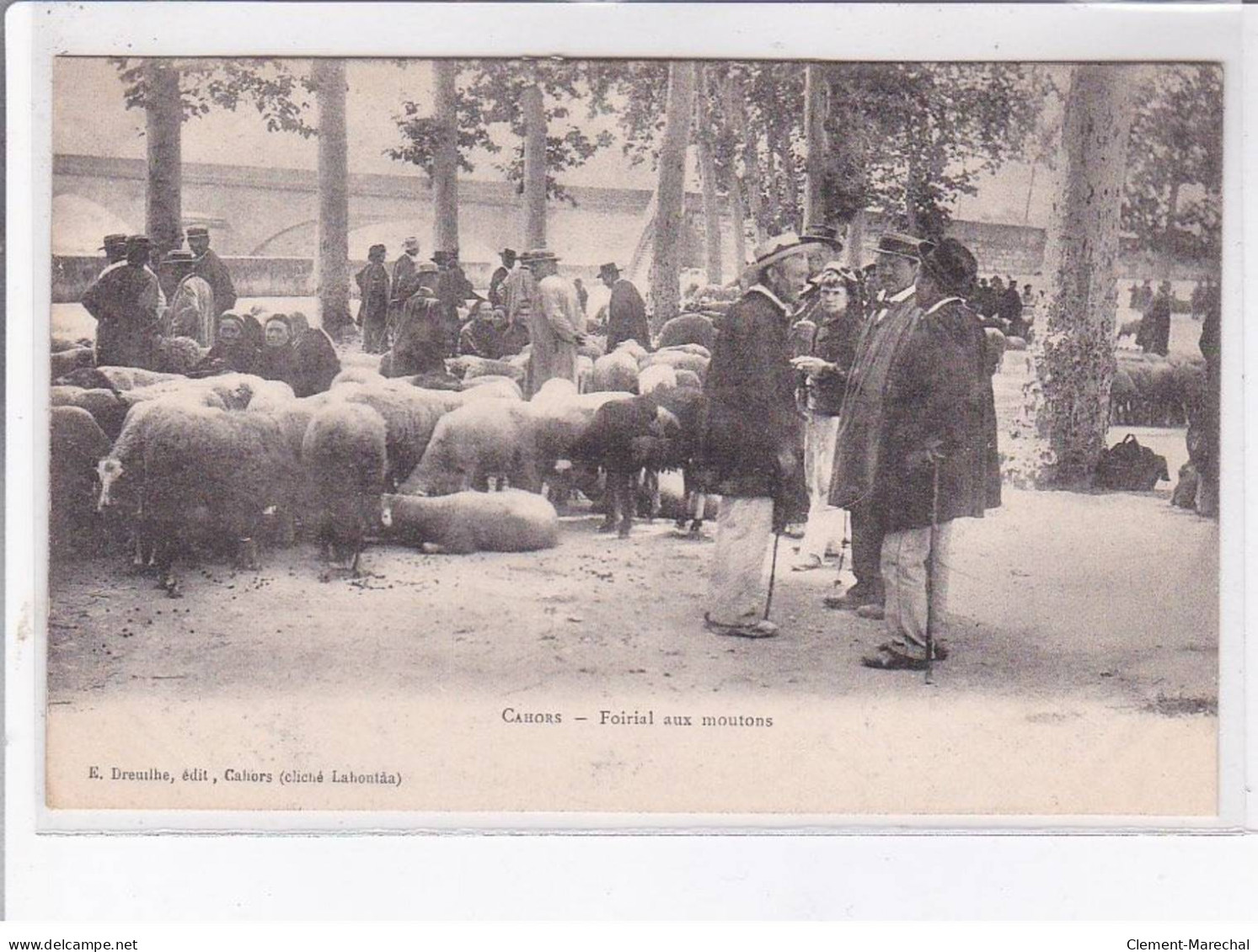 CAHORS: Foirial Aux Moutons (foire - Marché) - Très Bon état - Cahors