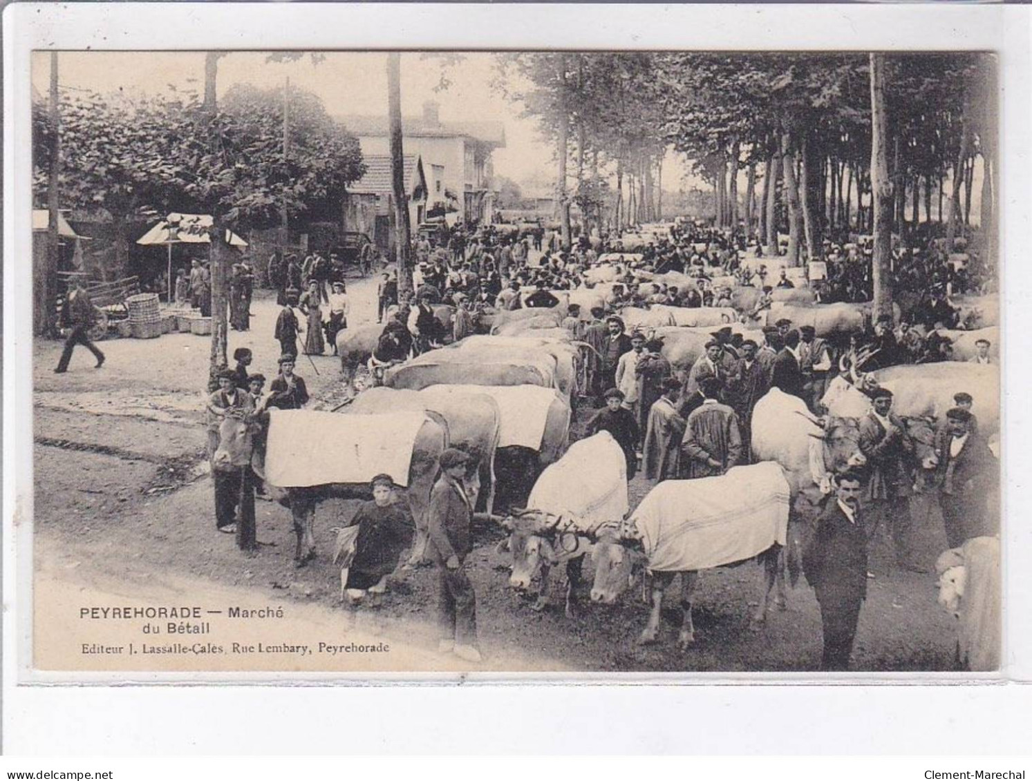 PEYREHORADE: Marché Du Bétail - Très Bon état - Peyrehorade