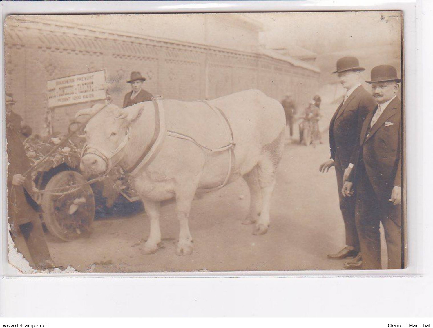 MERU - Carte Photo - Boeuf - Automobile De La Boucherie Prevost - état - Meru