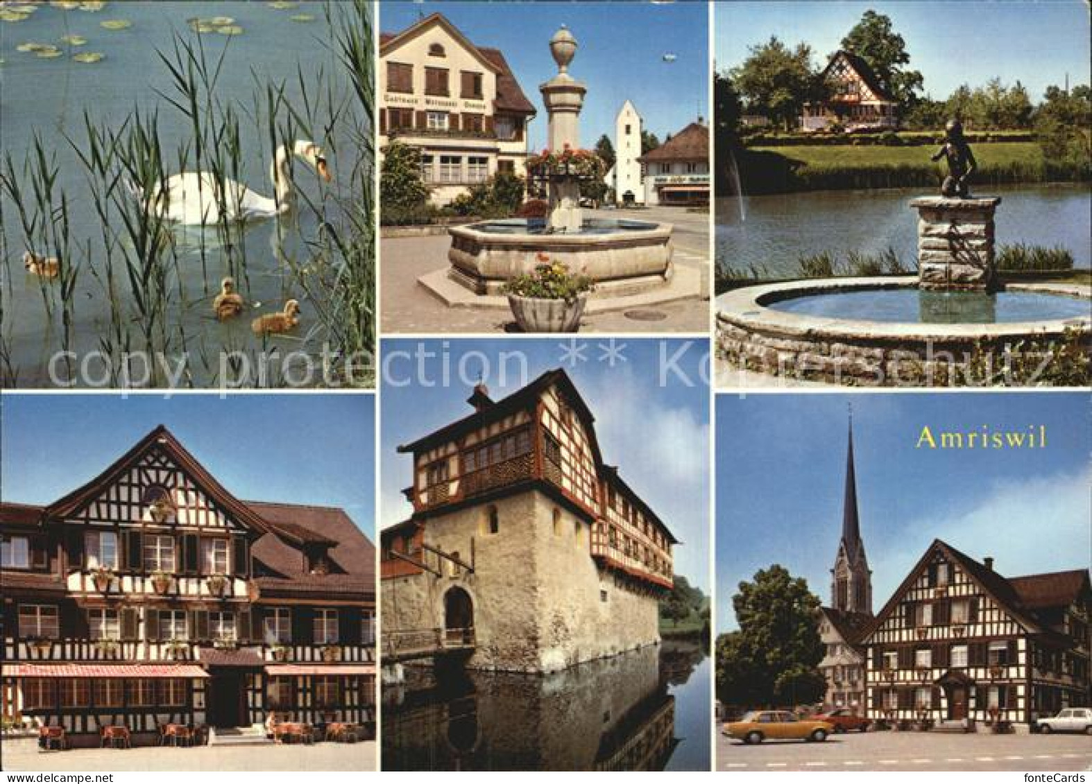 12590854 Amriswil TG Fachwerk Schwan Brunnen  Amriswil - Autres & Non Classés