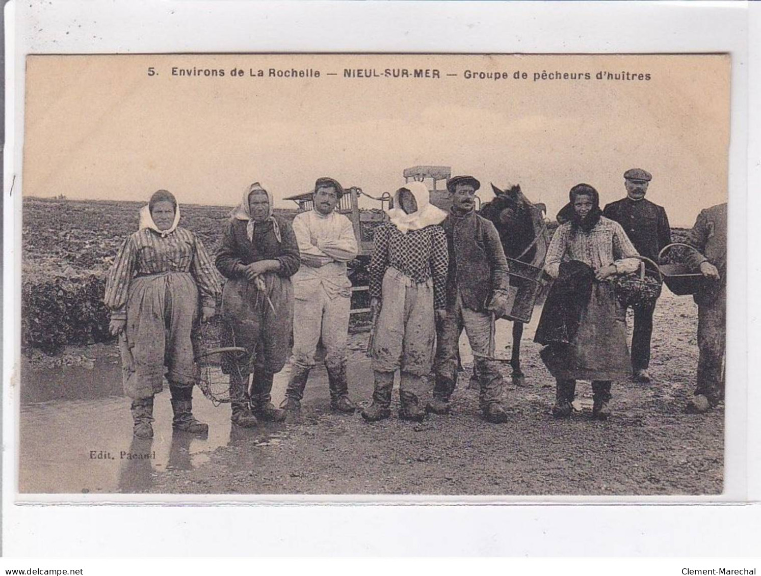 NIEUL-sur-MER: Groupe De Pêcheurs D'huîtres - Très Bon état - Andere & Zonder Classificatie