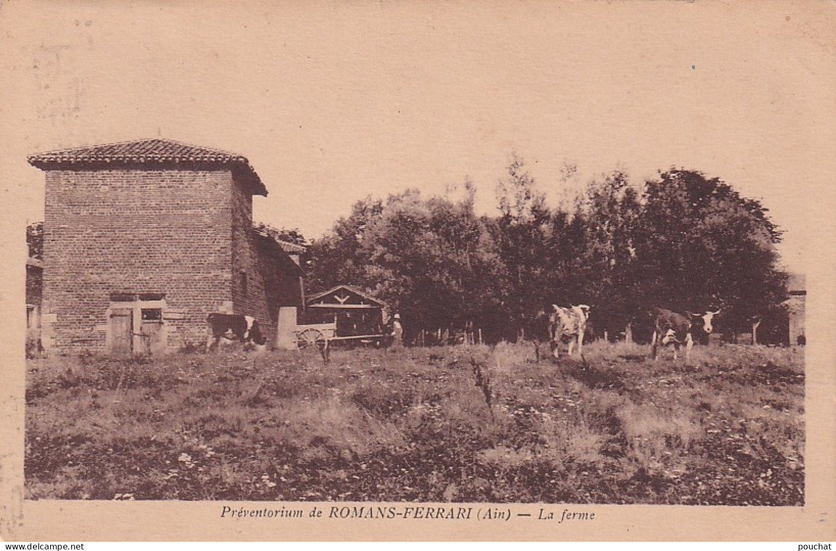 JA 29-(01) PREVENTORIUM DE ROMANS FERRARI  - LA FERME -  VACHES AU PATURAGE - Sin Clasificación