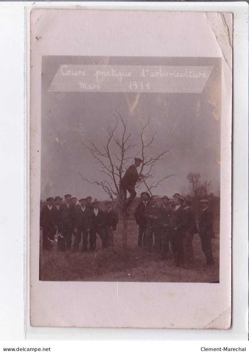 PENNE D'AGENAIS: Cours Pratique D'arboriculture Mars 1911 - état - Autres & Non Classés