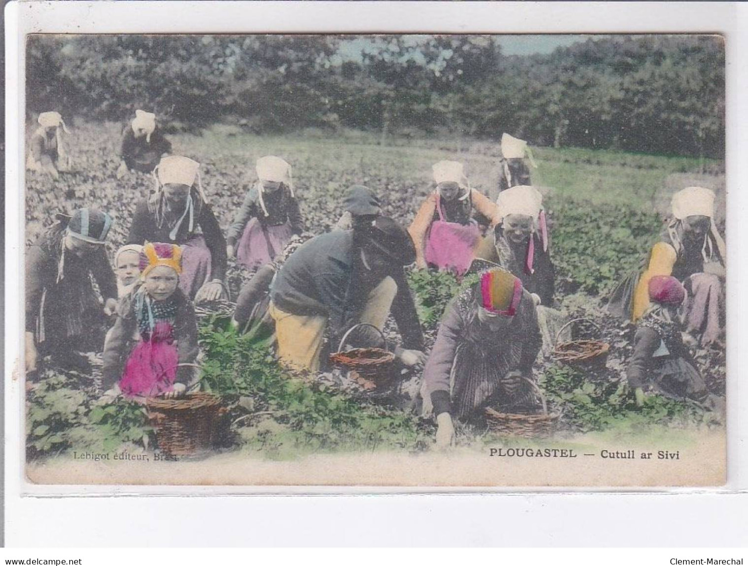 PLOUGASTEL: Cutull Ar Sivi, Culture Des Fraises, Rare En Couleur - Très Bon état - Plougastel-Daoulas