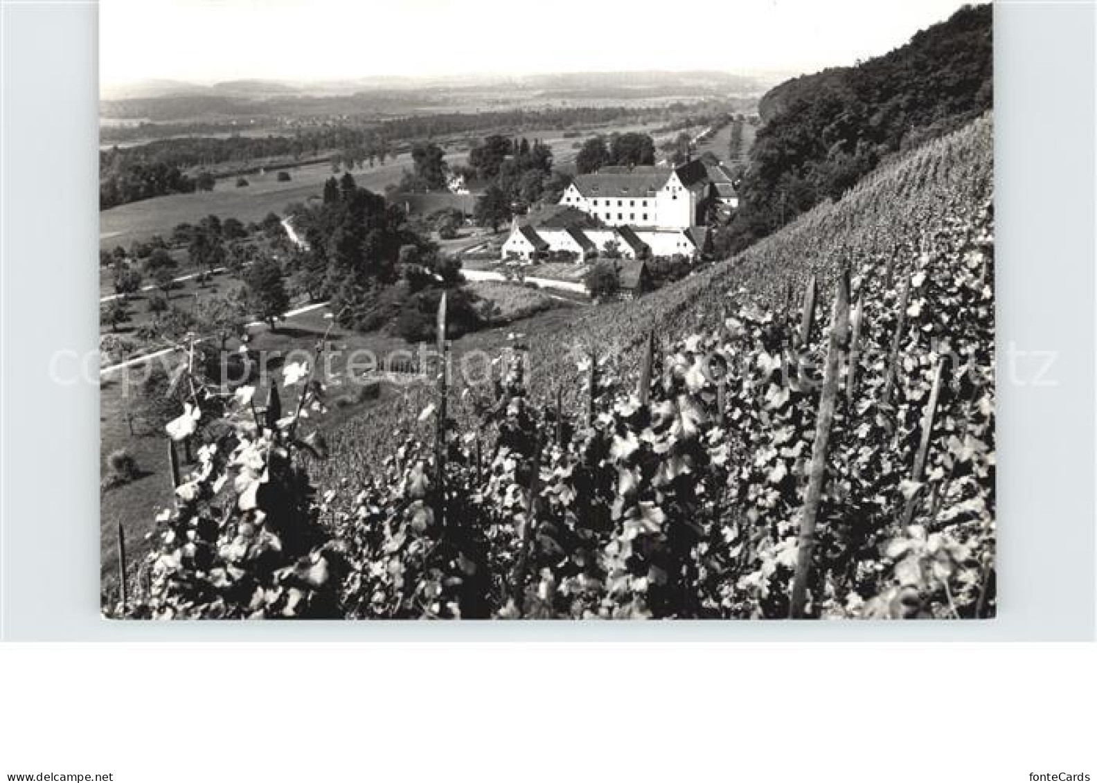 12590074 Warth Frauenfeld Blick Von Den Weinbergen Warth Frauenfeld - Autres & Non Classés