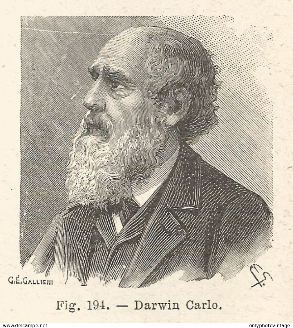 Charles Robert Darwin - Incisione Antica Del 1925 - Engraving - Prints & Engravings