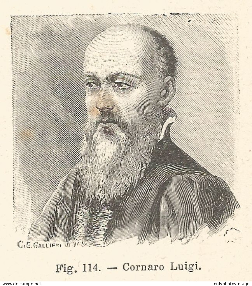 Luigi Cornaro - Incisione Antica Del 1925 - Engraving - Estampas & Grabados