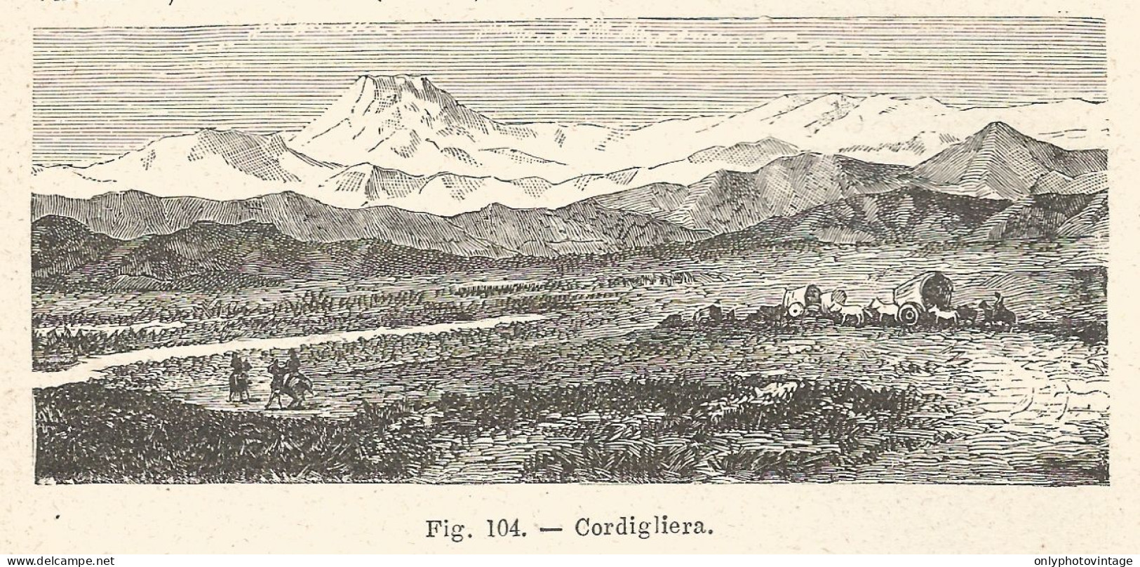 Cordigliera - Veduta - Incisione Antica Del 1925 - Engraving - Stampe & Incisioni