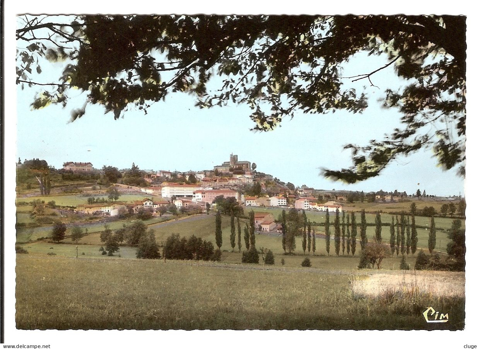 42 - SAINT BONNET LE CHATEAU - Vue Générale - Other & Unclassified