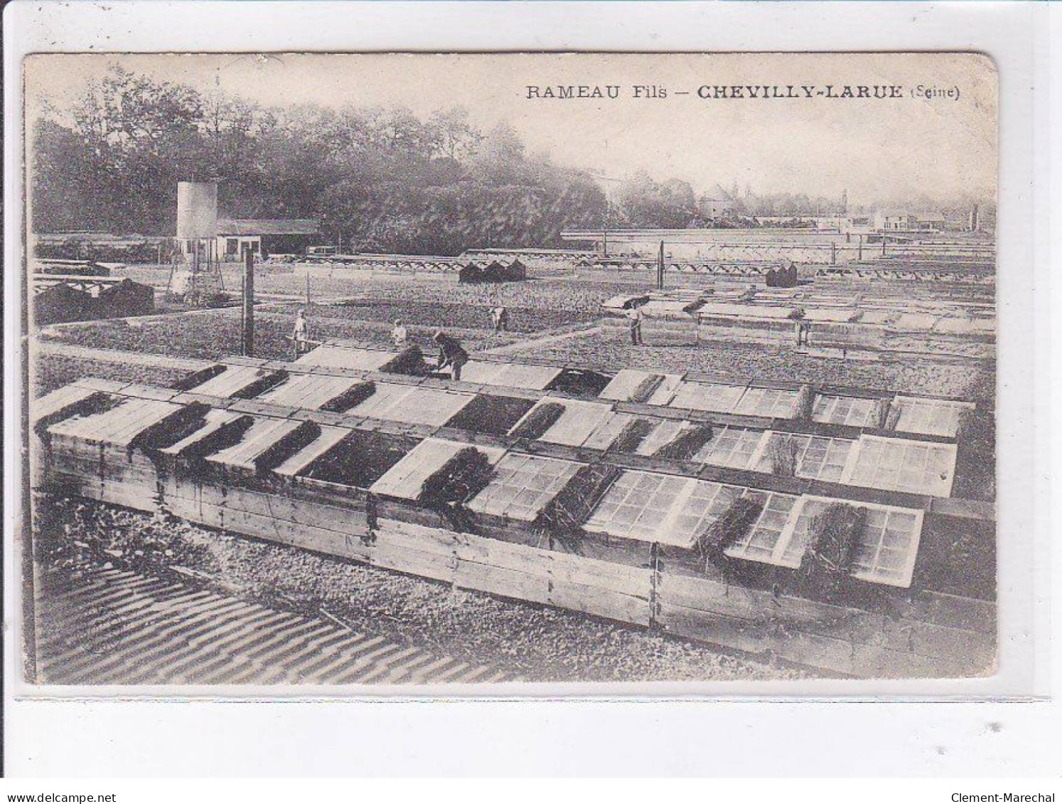 CHEVILLY-LARUE: Rameau Fils - état - Chevilly Larue