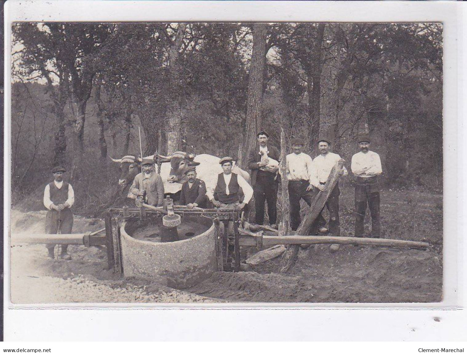 LANDES(?) PYRENEE ATLANTIQUE(?): Paysan, Boeufs, Moulin(?) - Très Bon état - Andere & Zonder Classificatie