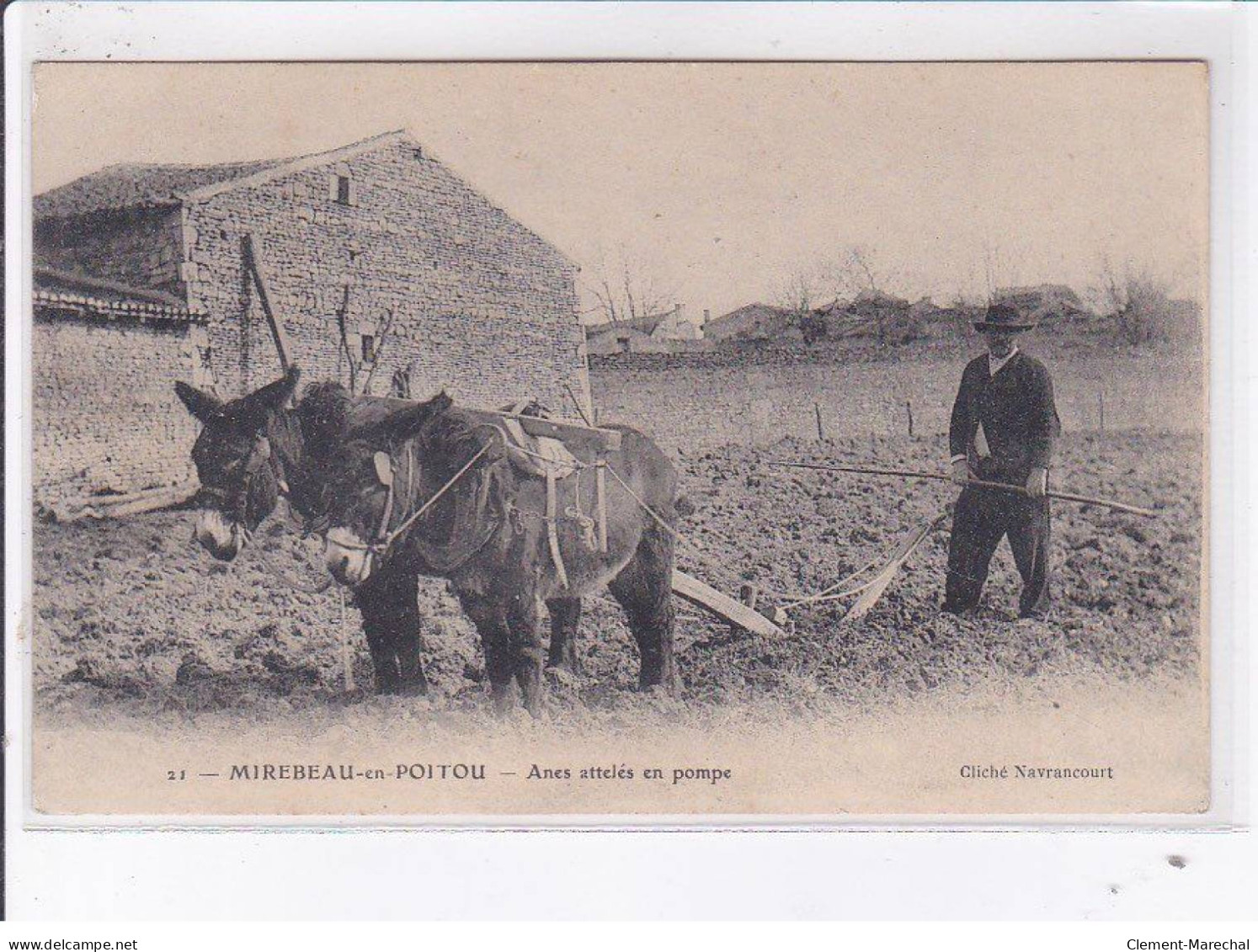 MIREBEAU-en-POITOU: Anes Attelés En Pompe - Très Bon état - Mirebeau