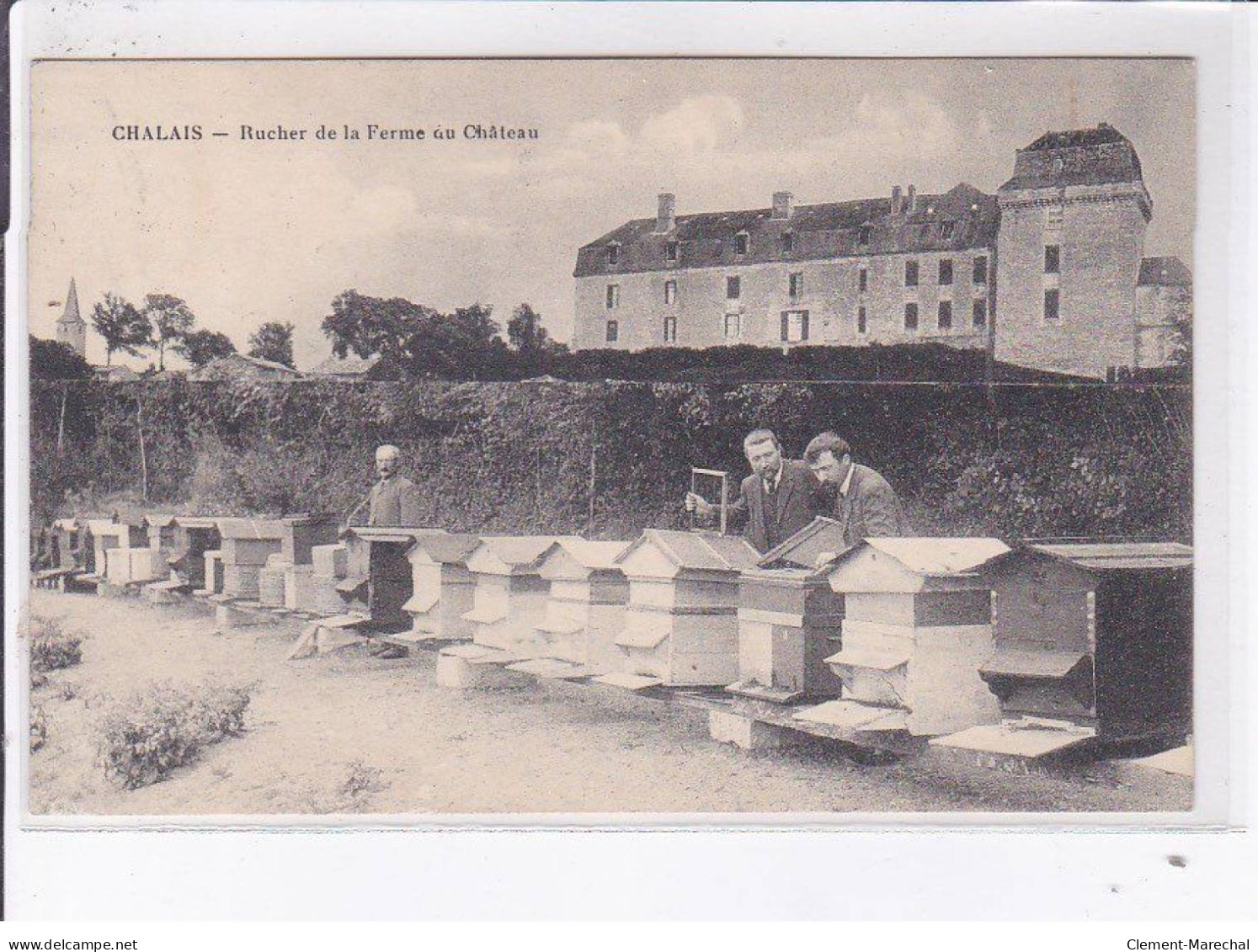 CHALAIS: Rucher De La Ferme Du Château - Très Bon état - Other & Unclassified