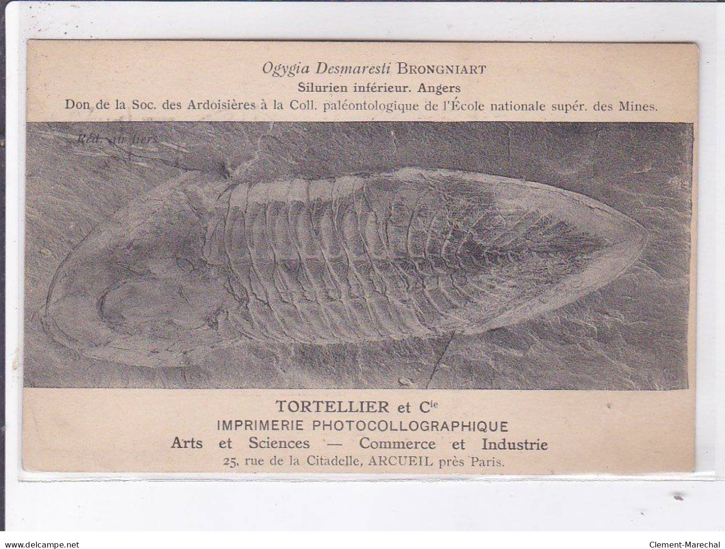 ARCUEIL: Tortellier Et Cie Imprimerie Photocollographique, Silurien Inférieur, Archéologie - Très Bon état - Arcueil